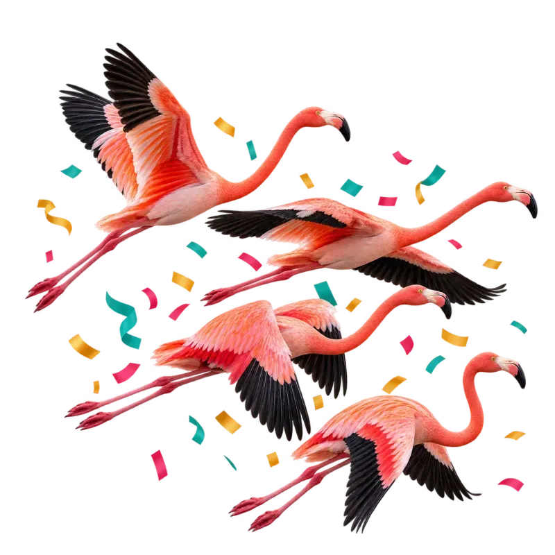 Quatre flamants roses en vol dans les confettis, forfait La Fiesta pour apprendre l'espagnol entre amis
