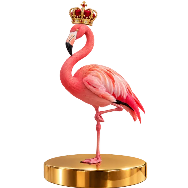 Flamant rose couronné sur un podium doré, forfait premium de cours d'espagnol privé en ligne