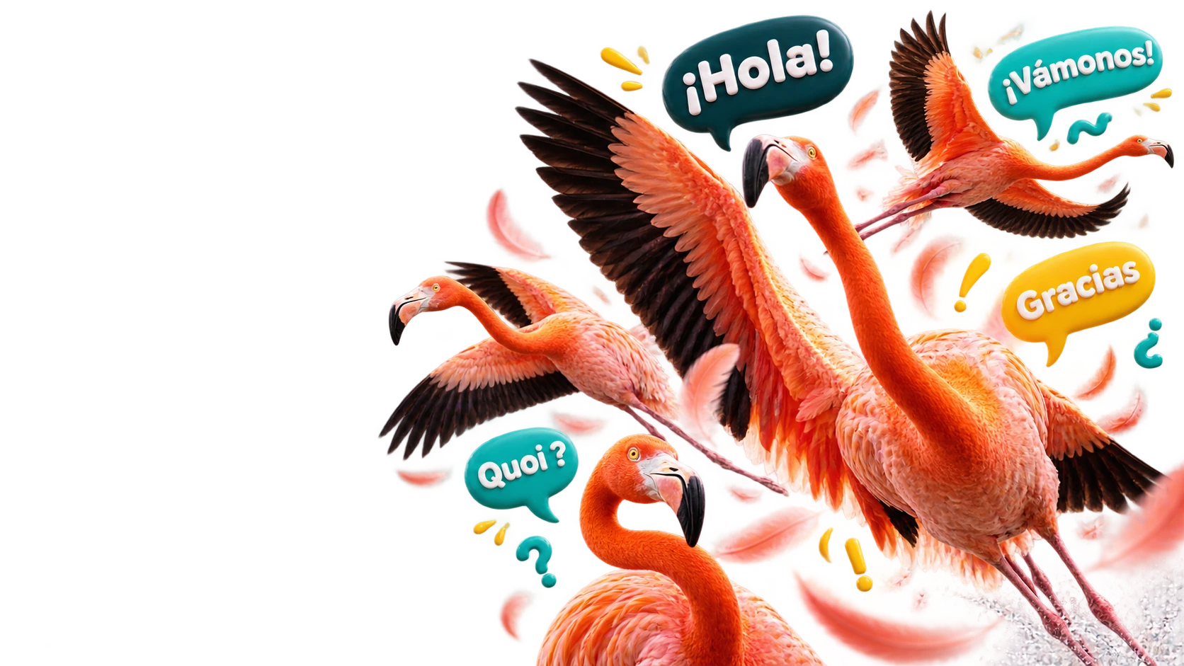 Envolée de flamants roses avec des bulles en espagnol : ¡Hola!, ¡Vámonos!, Gracias, et un flamant qui répond « Quoi ? »