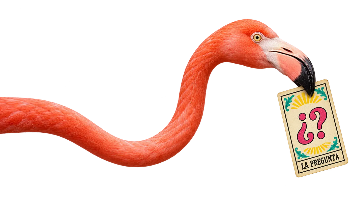 Un flamant rose tient dans son bec une carte de lotería « La pregunta », pour répondre à tes questions sur les cours d'espagnol