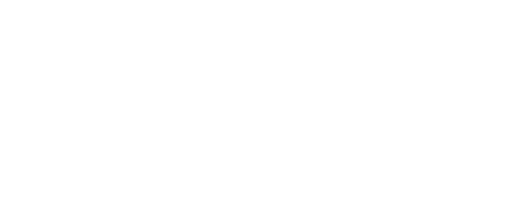Logo WM System