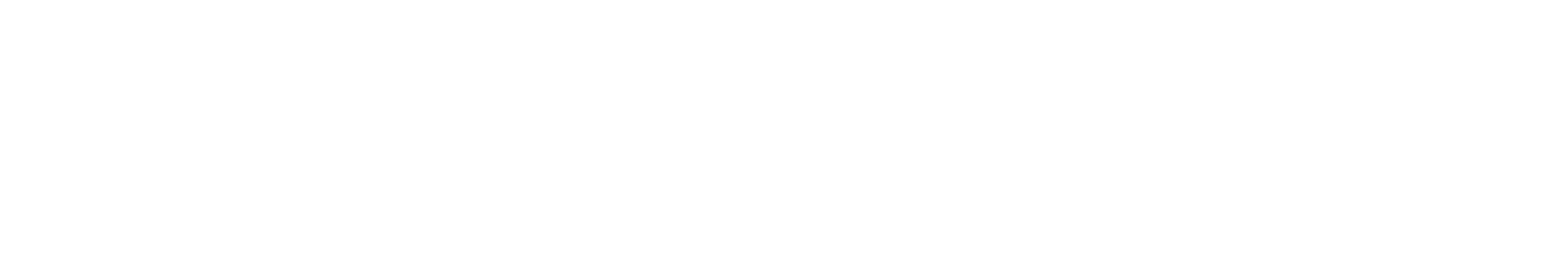 A horizontal row of 13 white logos for various brands including Blusun, Artoz, Campanions, Profizelt24, Pro Planche, Mamell, S64 logo, Strotonin, VFG, Joachim Kaeser, another circular logo, and Zwürzkhüsli.