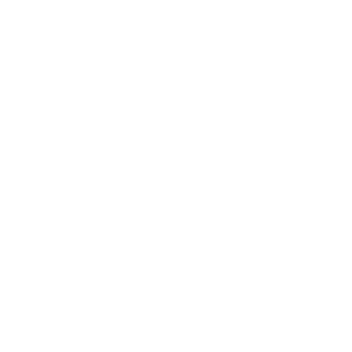 White capital letter L on a black square background.