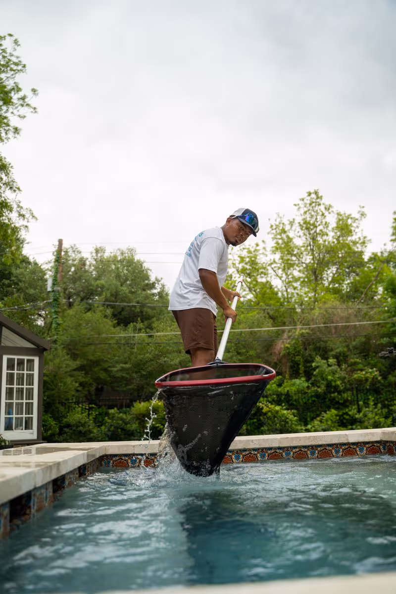 Pool technician removing debris with a swimming pool skimmer net