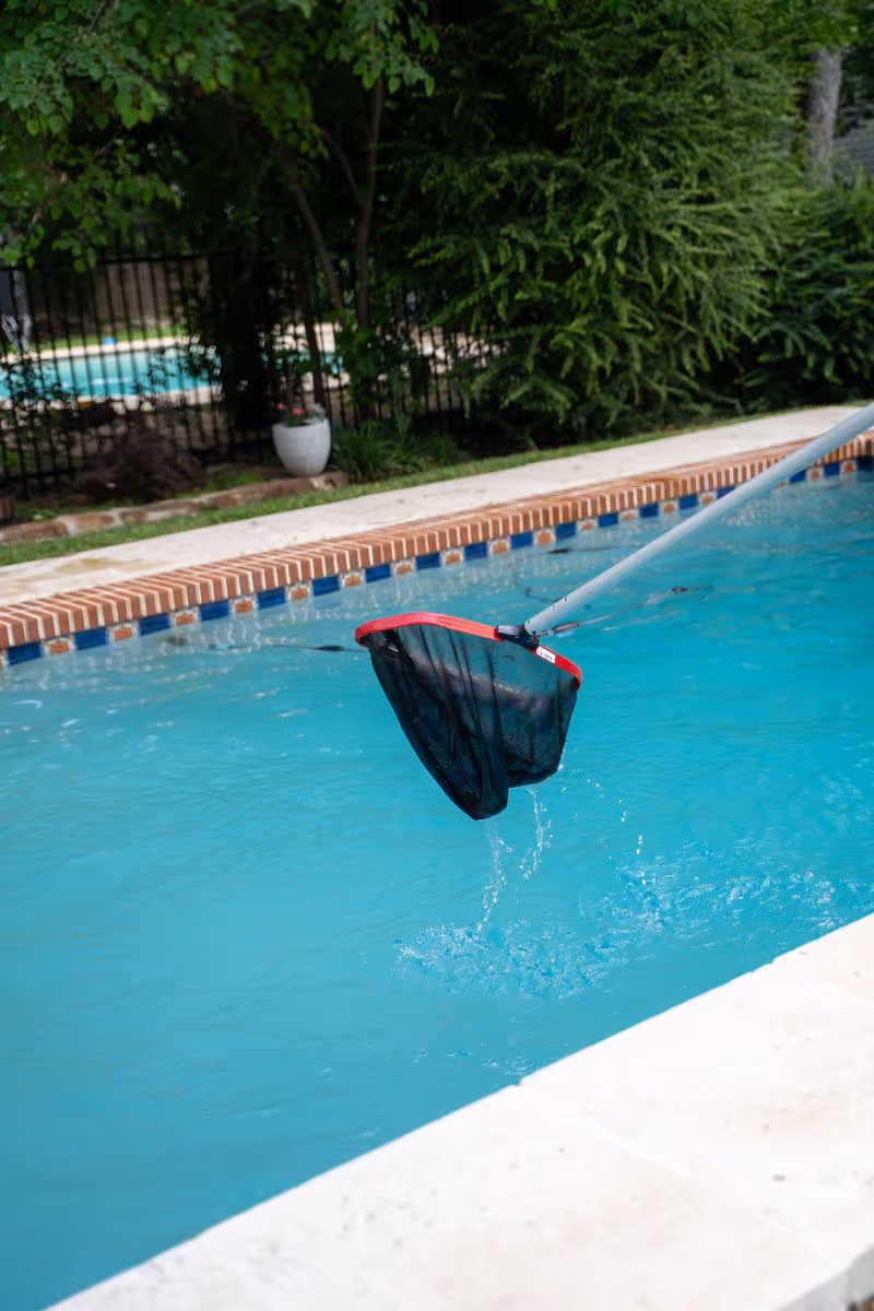 Skimmer net removing debris from clear swimming pool water