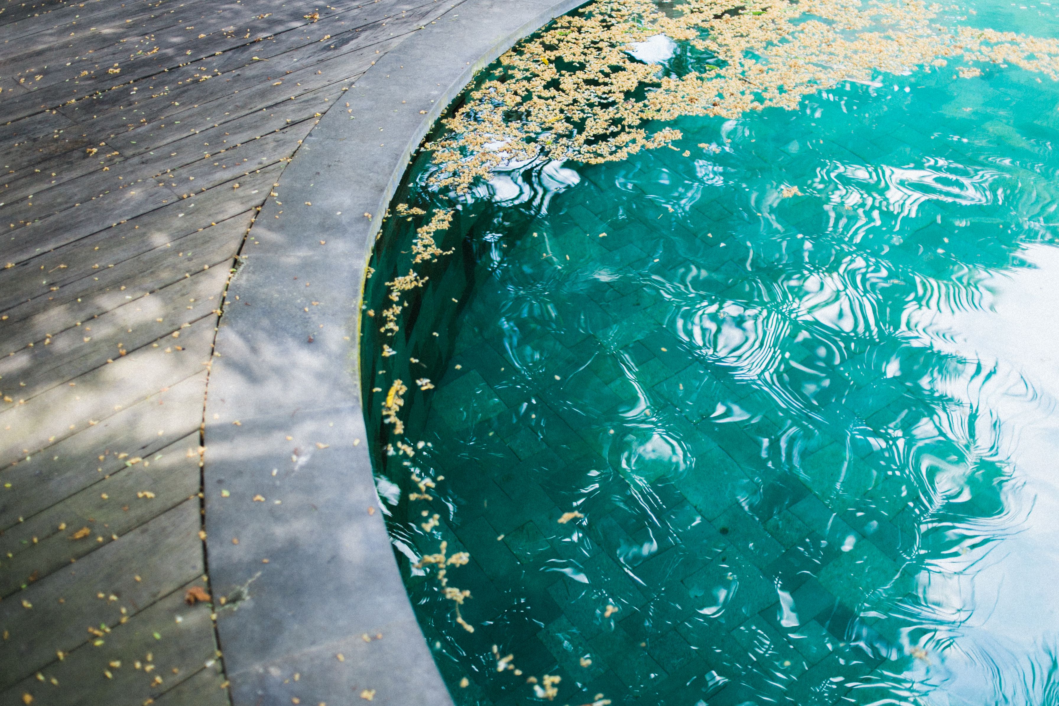 Pool Stains — What's Causing Them, How to Identify the Type, and How to Get Rid of Them