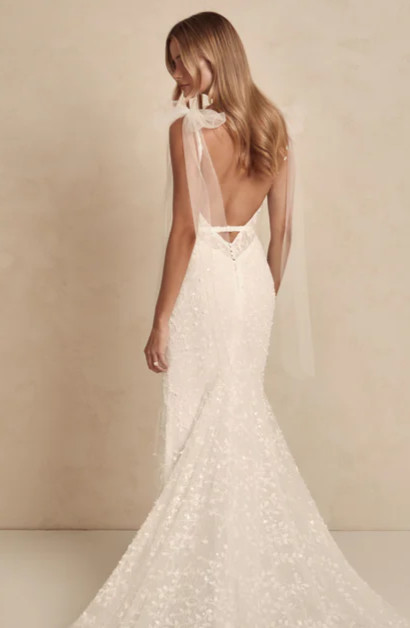 Back view
