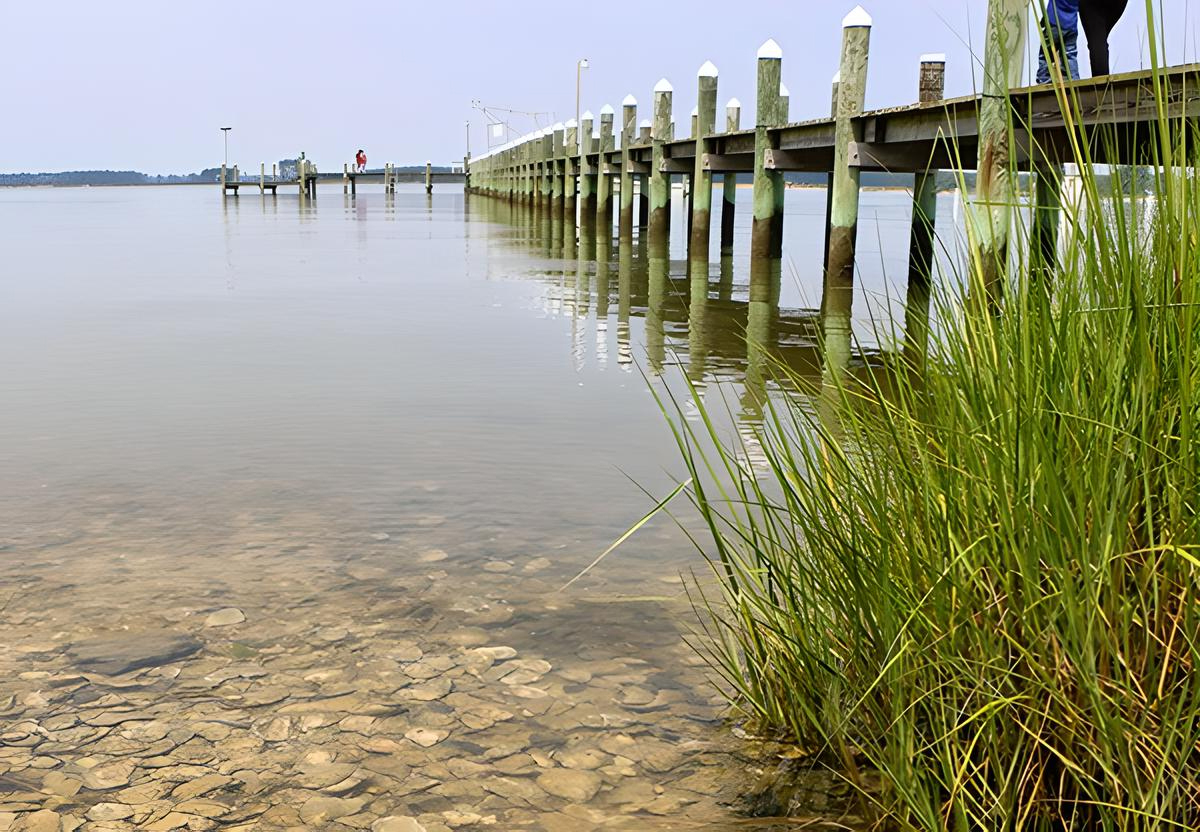 A pier extending into the Chesapeake Bay with marsh grass in the foreground