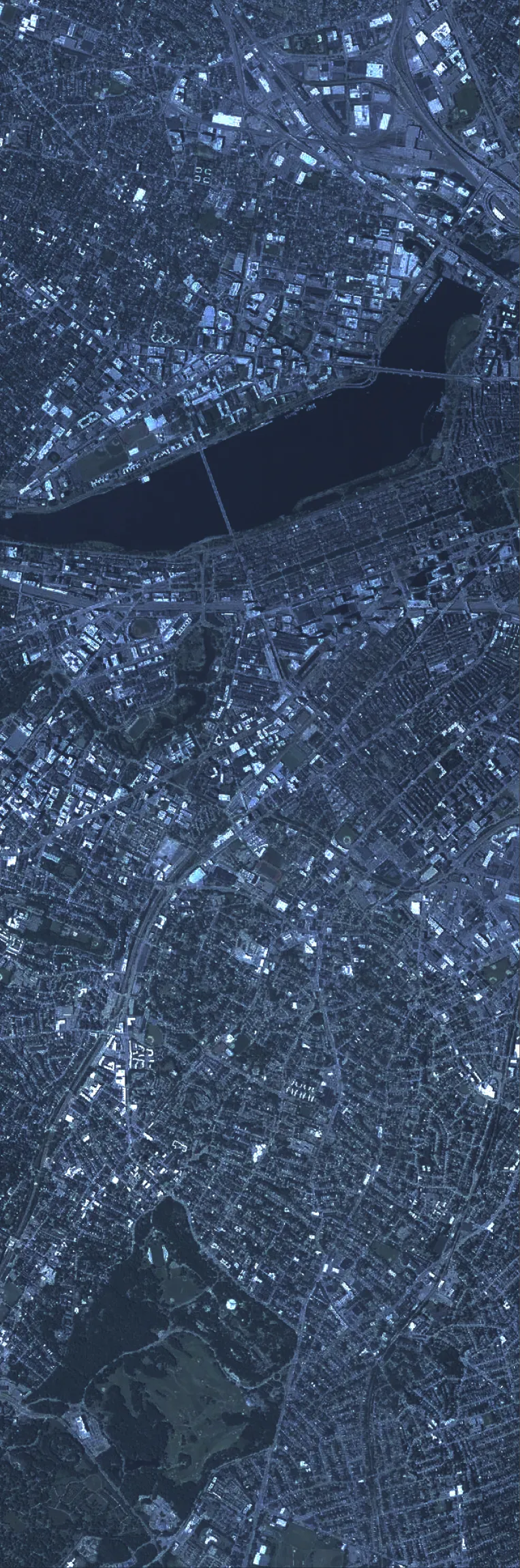 Aerial photograph of Boston: the Charles River and the Back Bay toward the top, then the Fenway, the South End and Roxbury. The IRIS Kinetics laboratory at 650 Albany Street sits inside this frame.