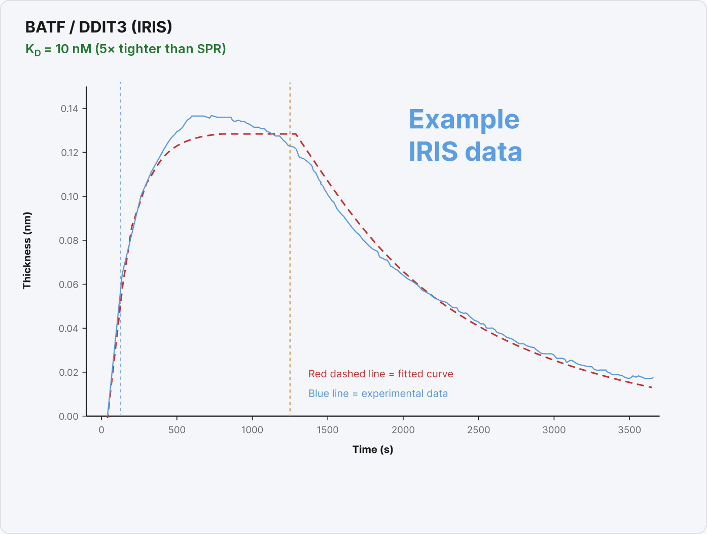 Example IRIS data for BATF against DDIT3: thickness in nm over time in seconds. The red dashed fitted curve follows the blue experimental trace through association and dissociation. Fitted KD = 10 nM, five times tighter than the SPR fit of the same pair.