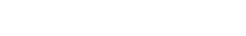 PIFFLORD LLC