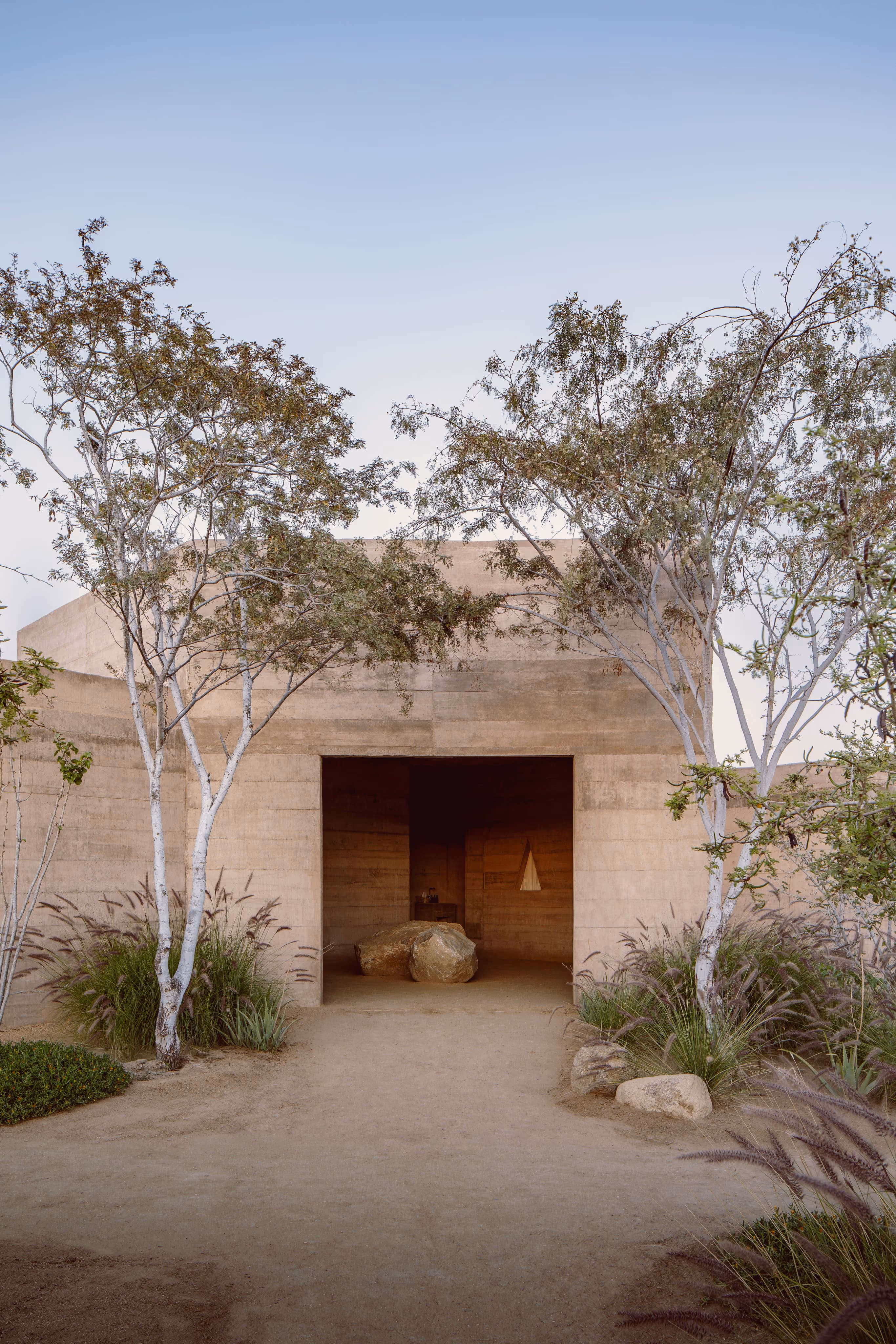 Earthen entrance to a suite between white-barked trees
