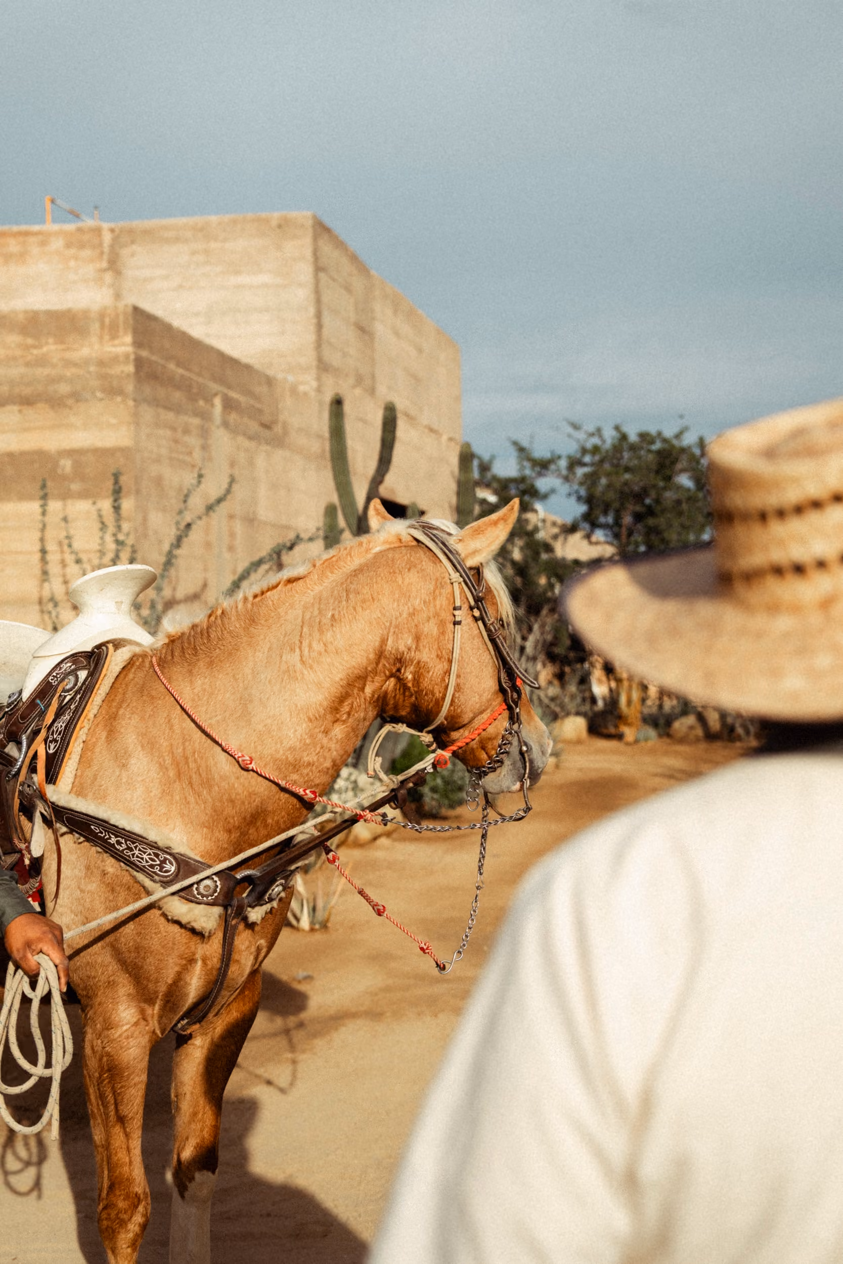 Rancher in a straw hat beside a saddled horse