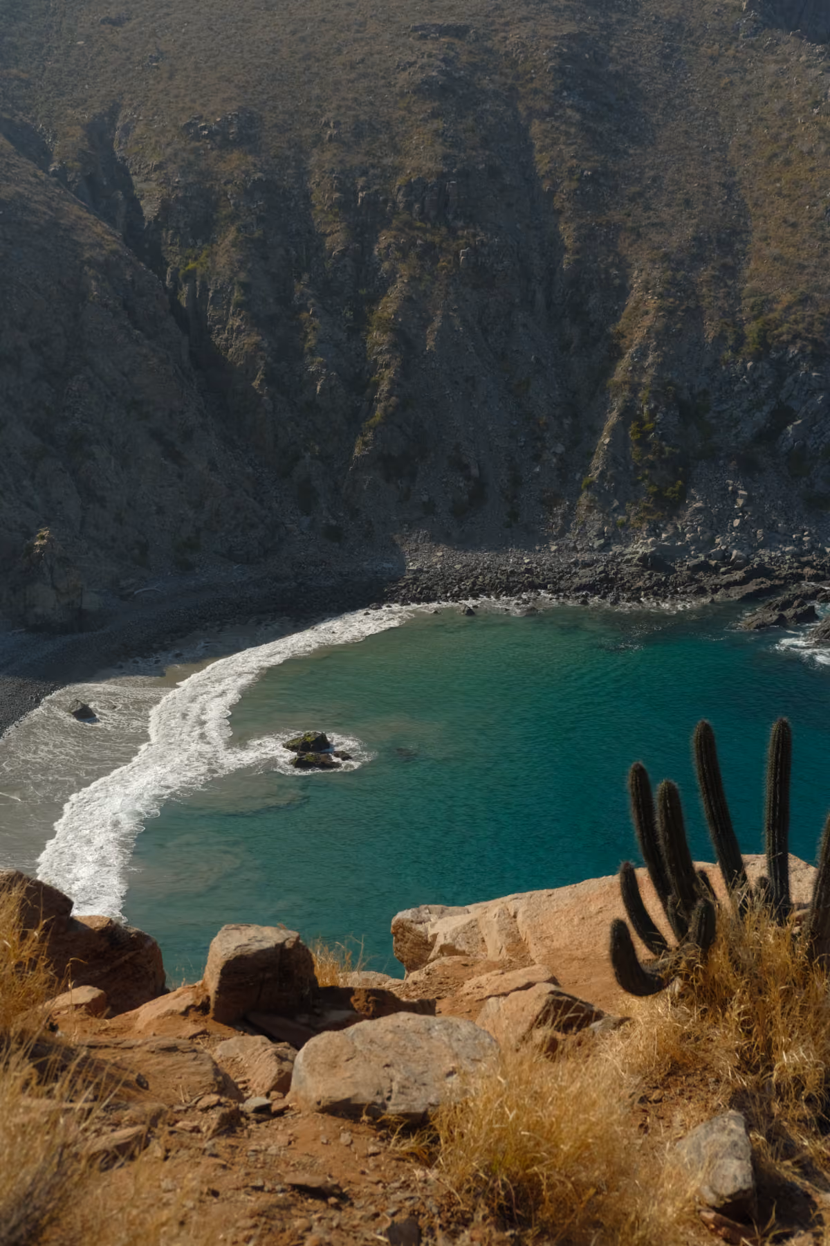 Turquoise cove below rocky cliffs with cardón cactus