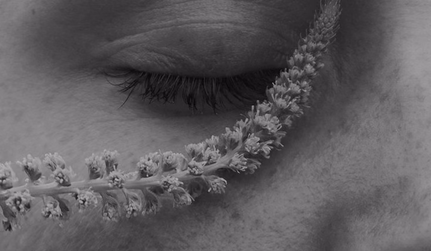 Black and white close-up of closed eye with a sprig of flowers