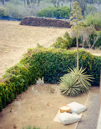 Desert garden with agave and floor cushions by the farm fields