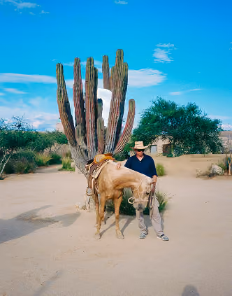 Horseman with a horse beside a tall cardón cactus