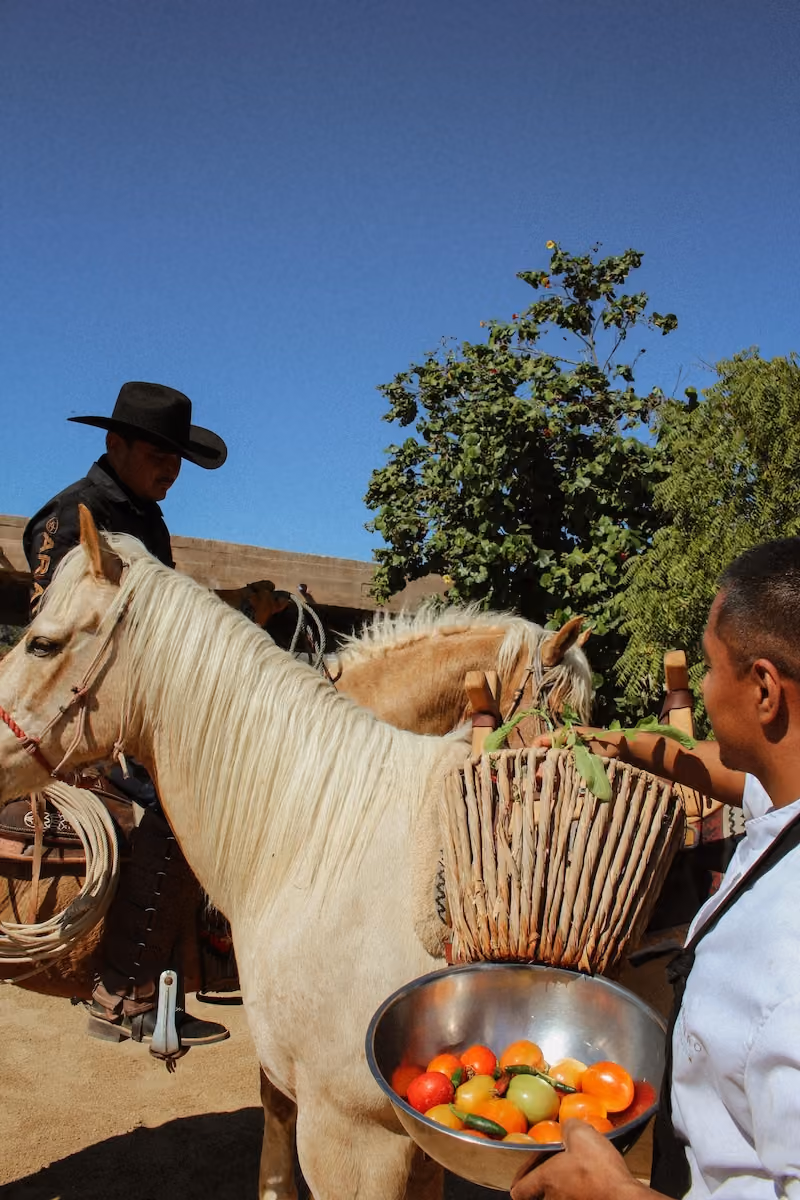 Rancher with white horse and server holding a bowl of fruit