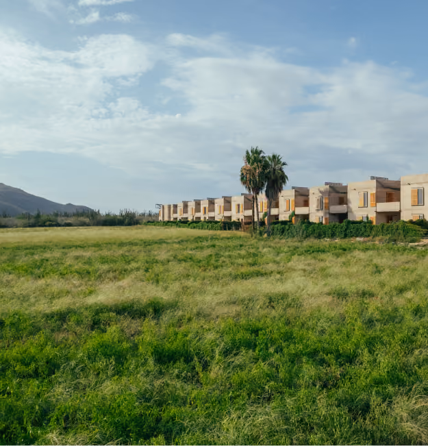 Row of Paradero Homes residences beyond green fields and palms