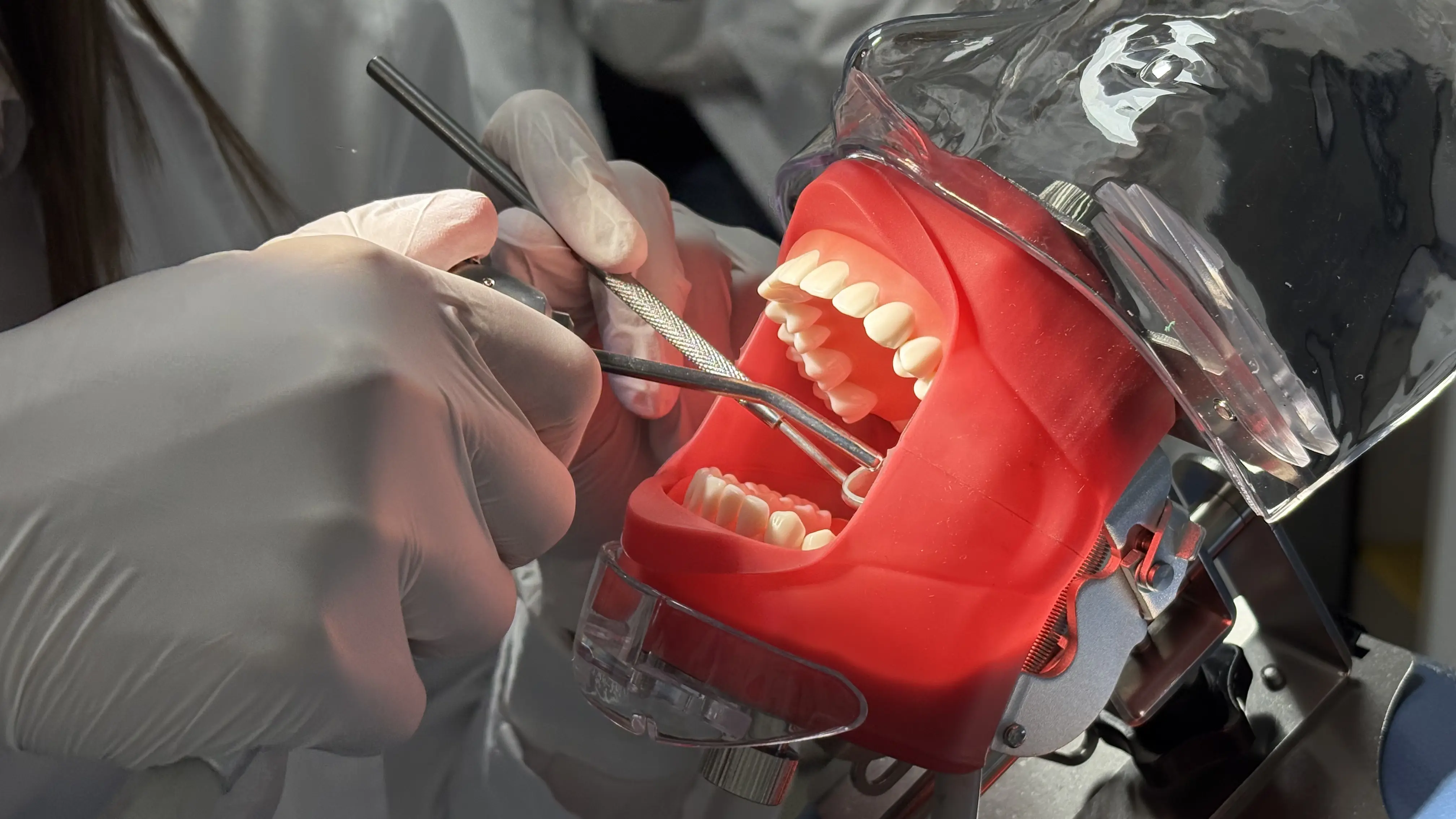 Dental student working on a phantom head in the simulation lab