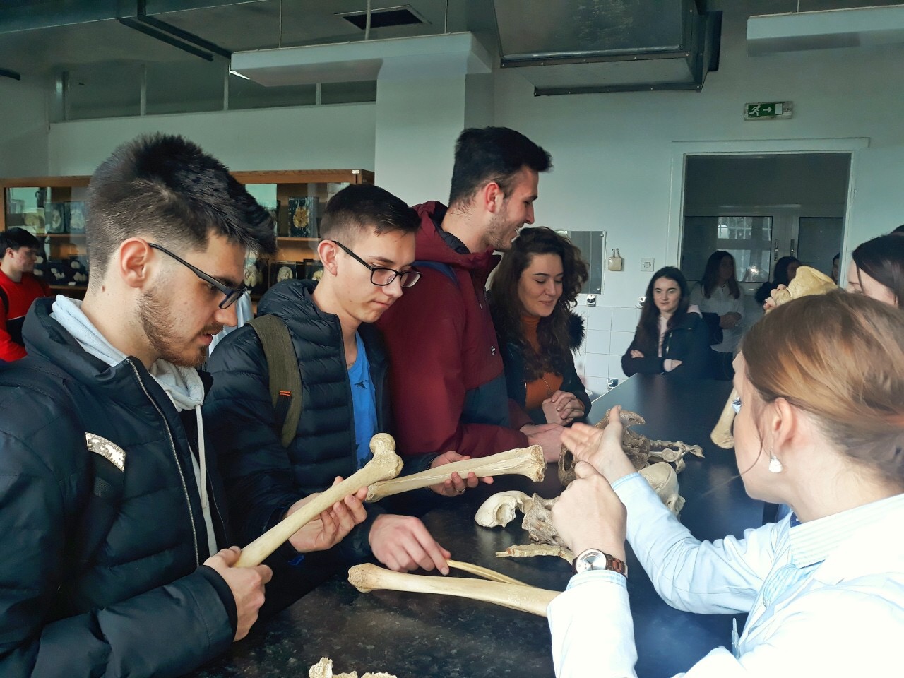 Anatomy teaching room at the Faculty of Medicine, University of Sarajevo