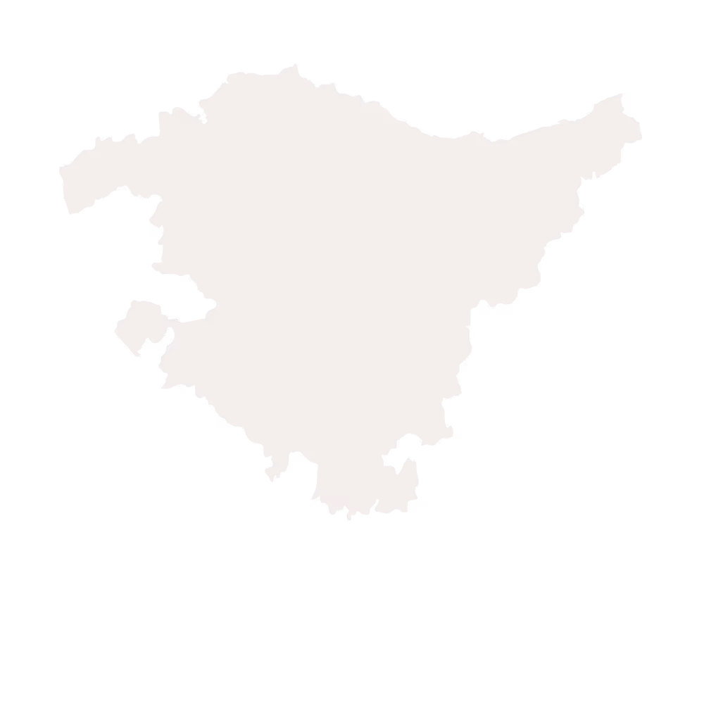 Silhouette grise clair de la carte des provinces du Pays basque sans texte ni frontières internes visibles.