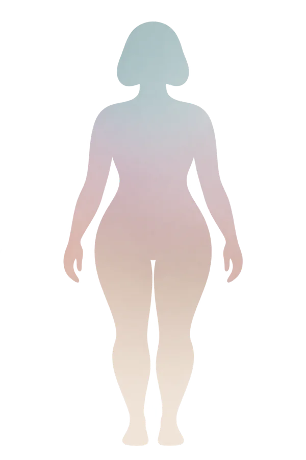 Illustration av kroppen