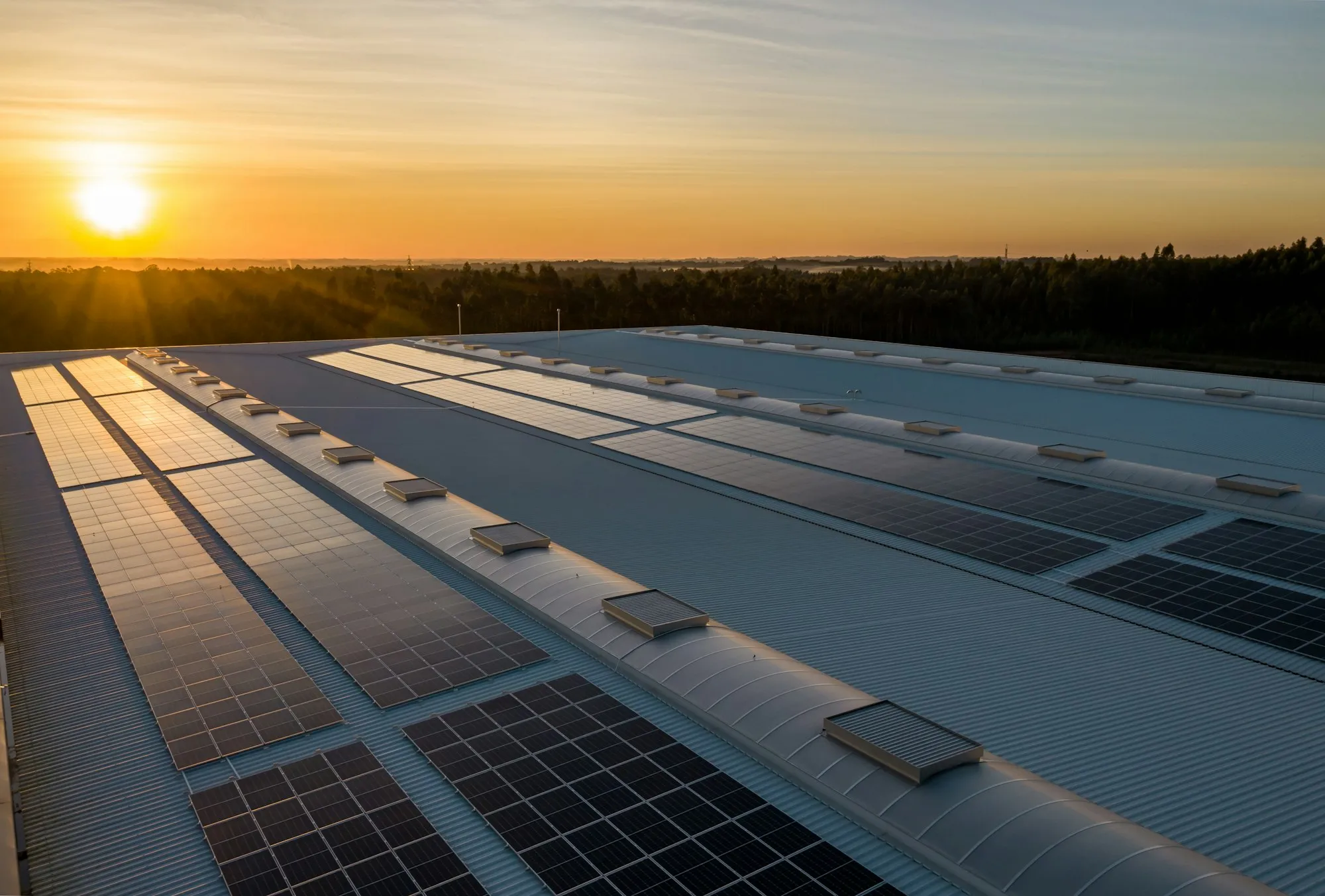Technician on solar panels