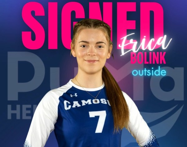 Erica Bolink