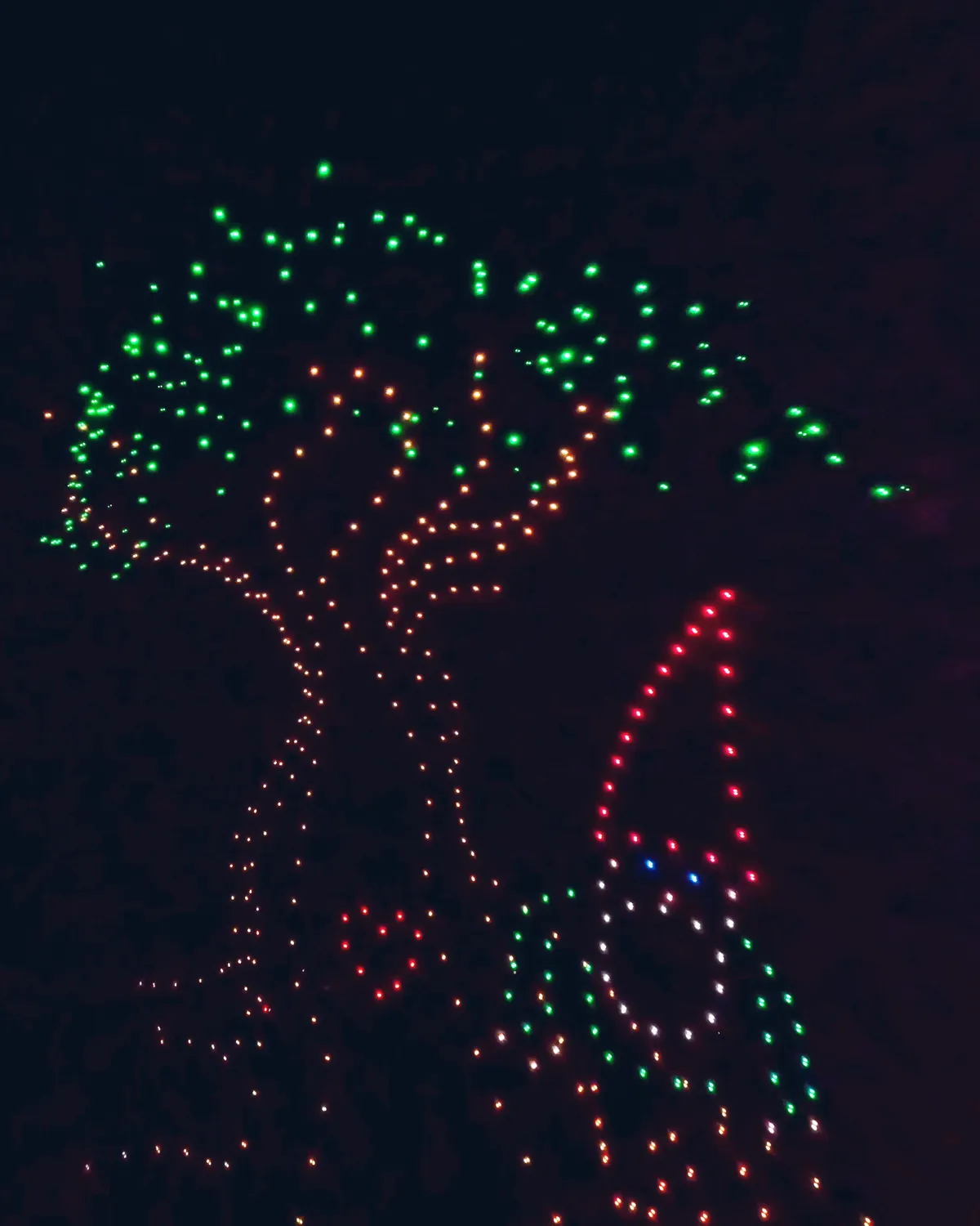 Un arbre lumineux dessiné par les drones au-dessus du public d’un festival