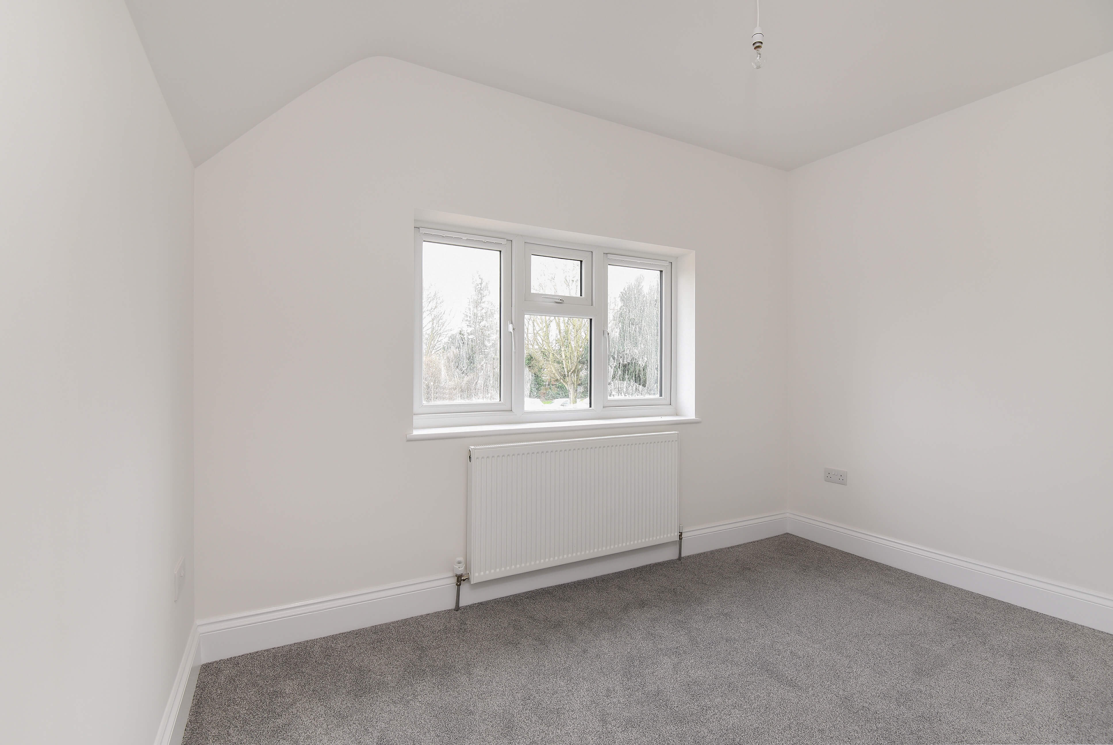 Development gallery image