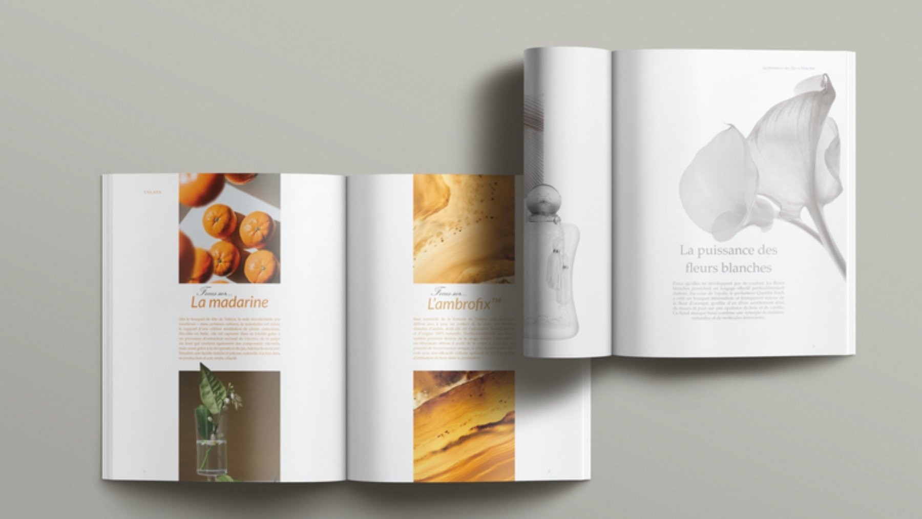 Parfums de Marly, Valaya : les doubles pages des ingrédients, mandarines et matière ambrée, à côté de la double page des fleurs blanches