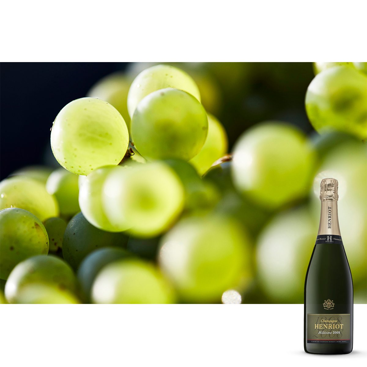 Champagne Henriot : des grains de chardonnay en gros plan, et la bouteille