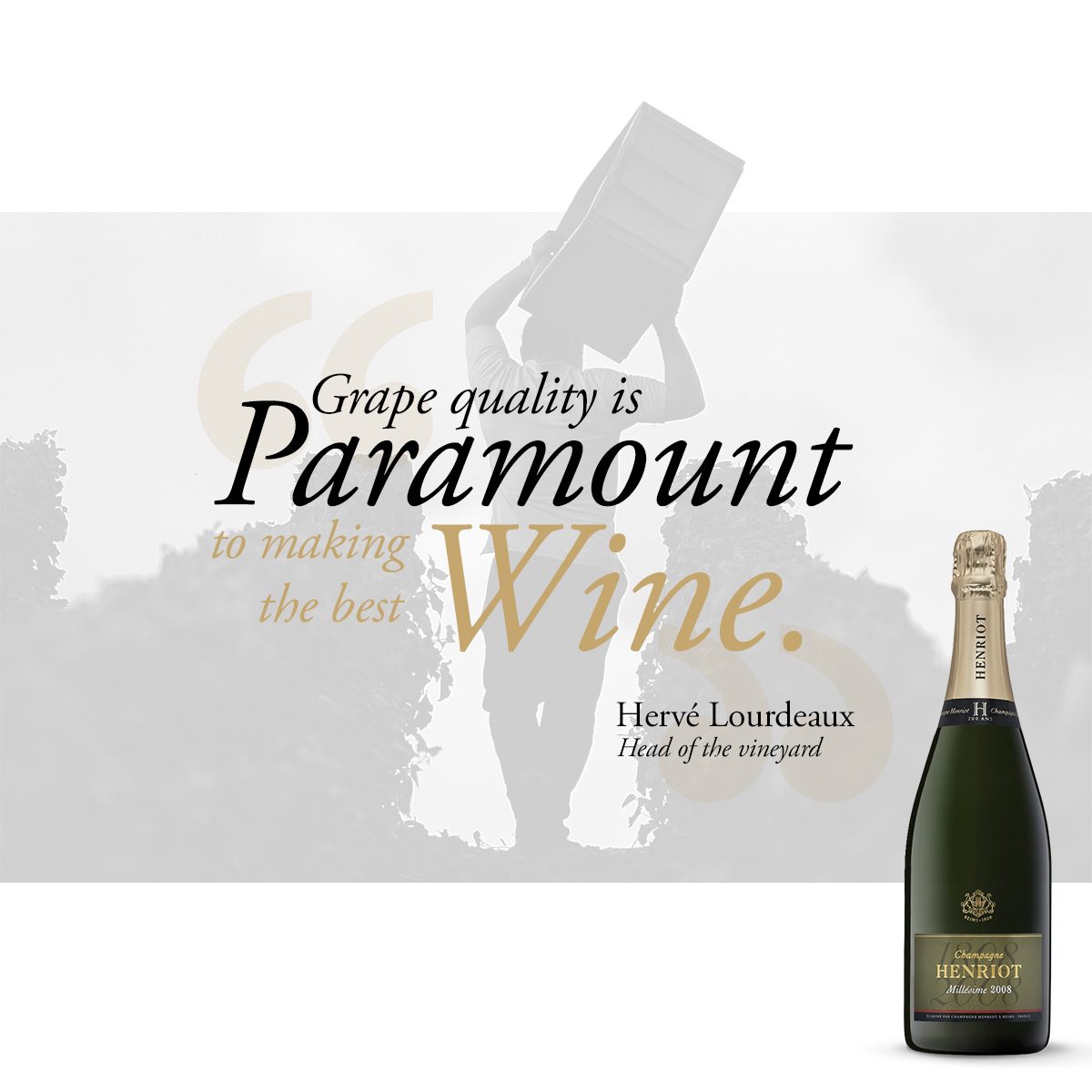 Champagne Henriot, format citation en noir et blanc : « Grape quality is paramount to making the best wine. »