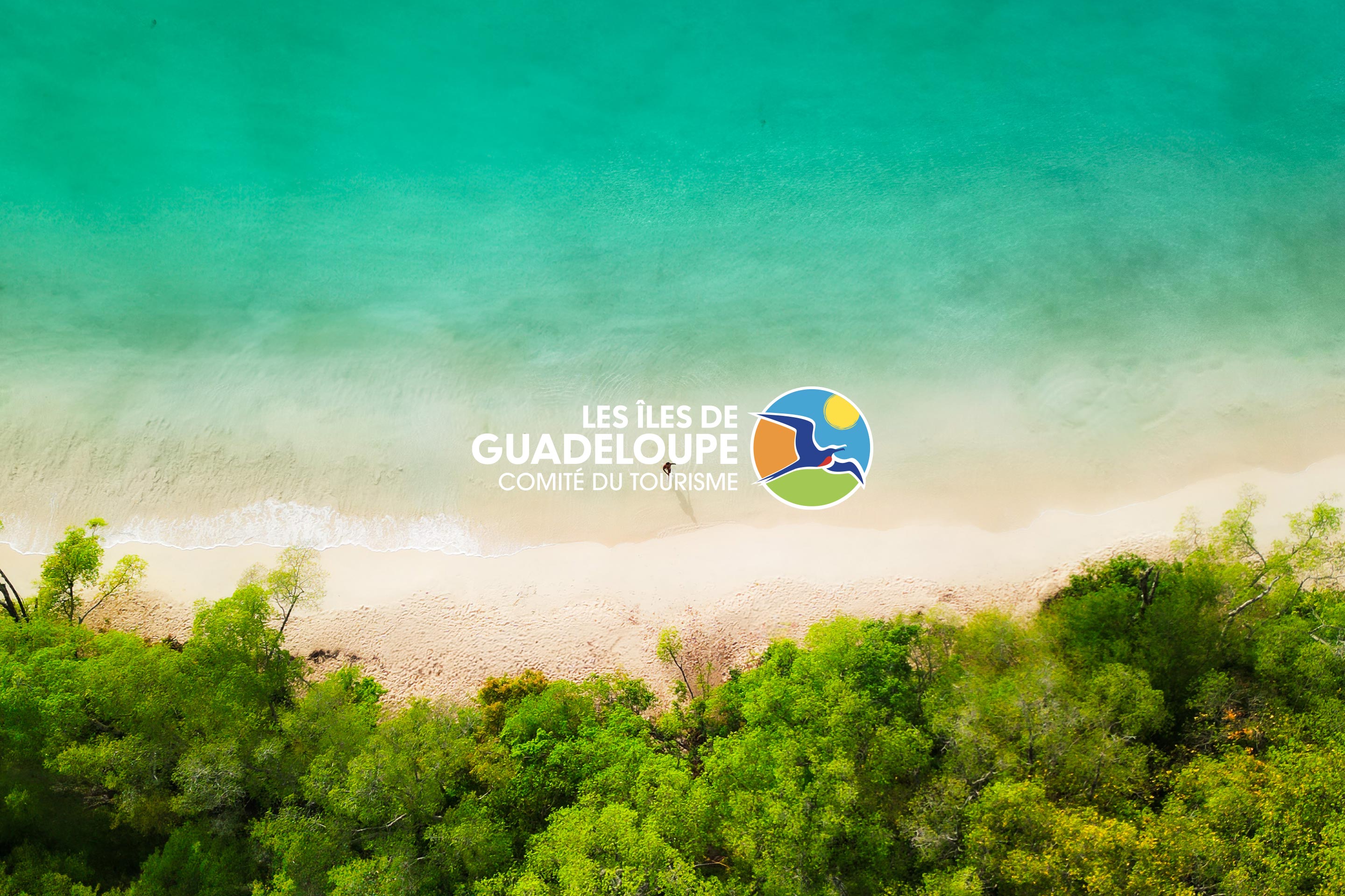 Comité du Tourisme des Îles de Guadeloupe : le logo « Les Îles de Guadeloupe » sur la vue aérienne d’une plage, entre mer turquoise et végétation tropicale