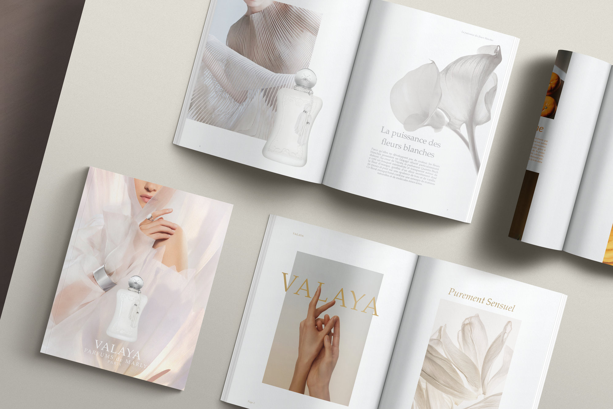 Parfums de Marly, Valaya : le dossier de presse, sa couverture et ses doubles pages « La puissance des fleurs blanches » et « Purement sensuel »