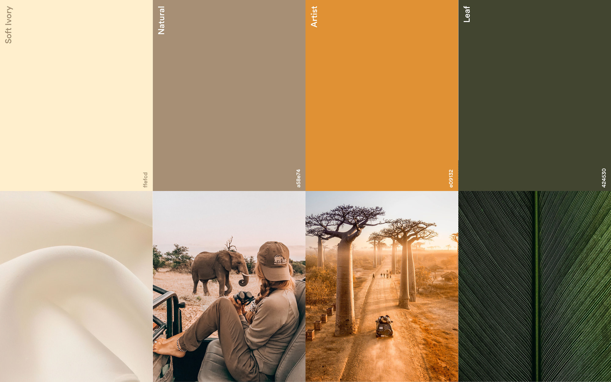 Fanny Hackl, palette : Soft Ivory, Natural, Artist et Leaf, l’ivoire, le sable, l’ocre et le vert, chacune avec sa photo, un tissu, un safari, une allée de baobabs, une feuille