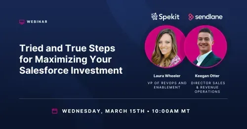 Tried and True Steps for Maximizing Your Salesforce Investment