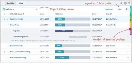 TaskRay Salesforce Portfolio View