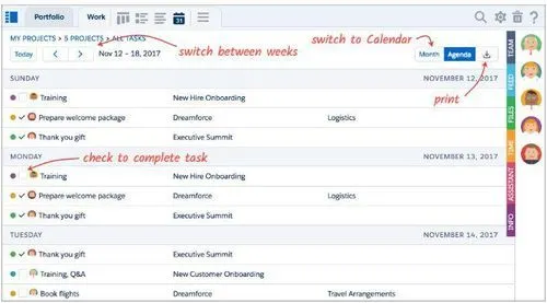 TaskRay Salesforce Task View