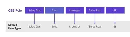 Clari Salesforce OOB Roles