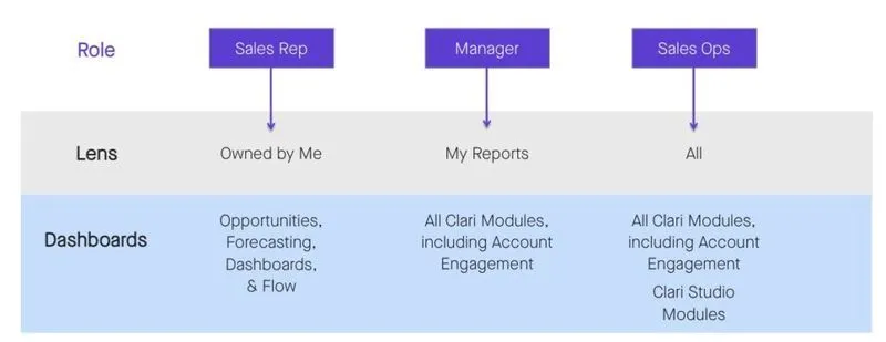 Clari Salesforce Roles