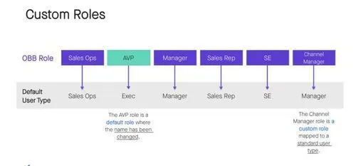 Clari Salesforce Custom Roles