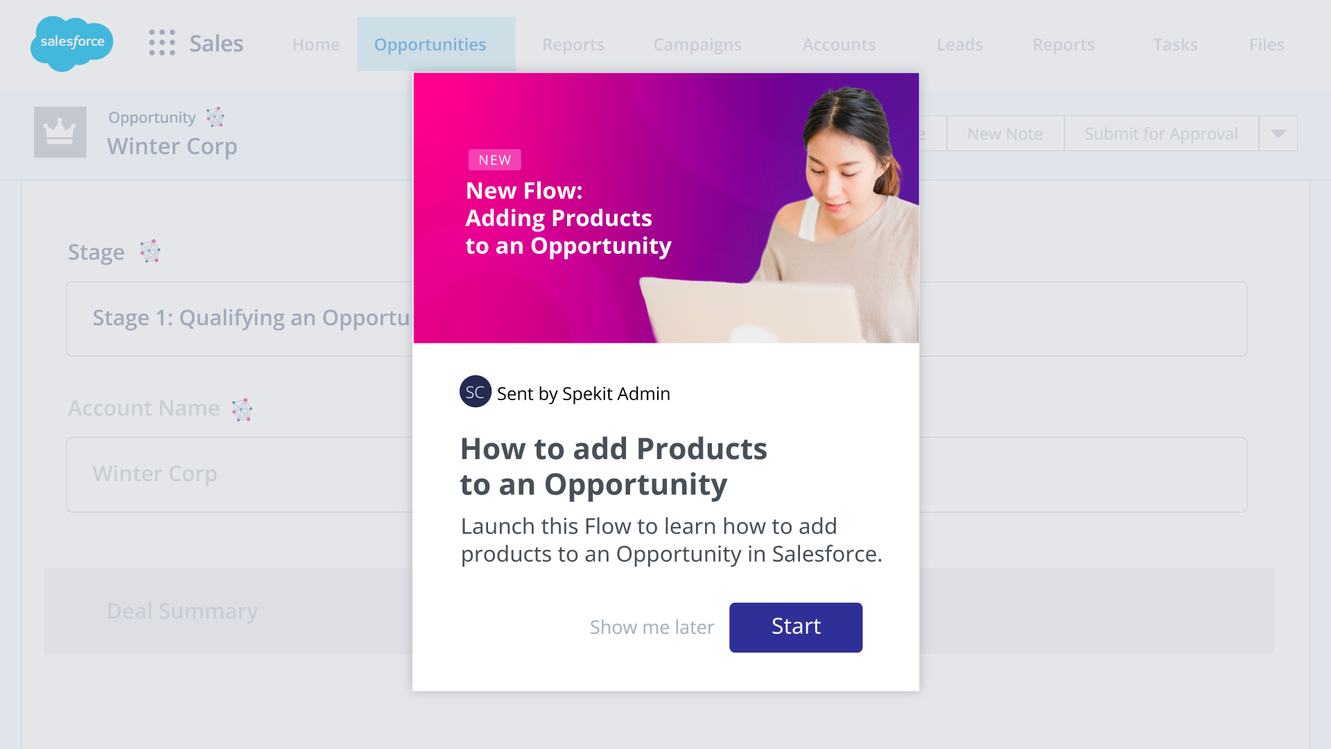 Salesforce data dictionary change management