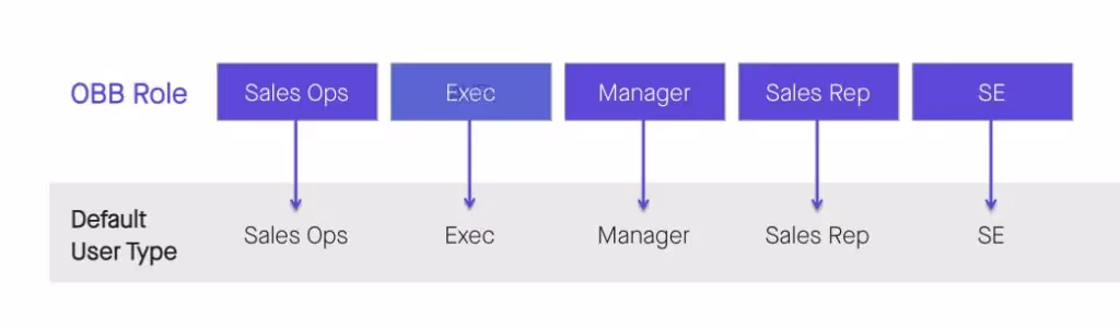 Clari Salesforce OOB Roles