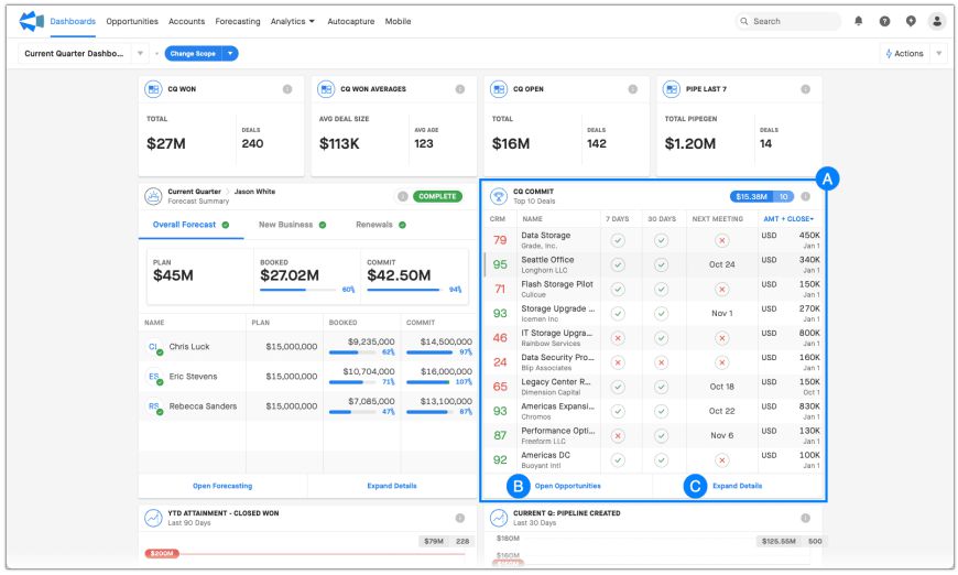 Clari Salesforce Widget