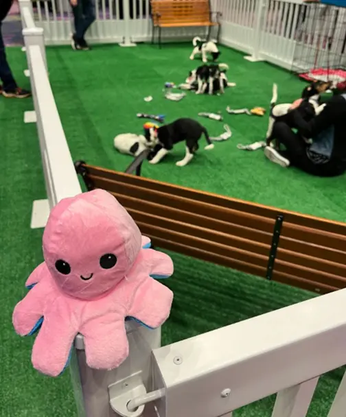 Speki mascot plushie sitting on a fence with dogs in the background.
