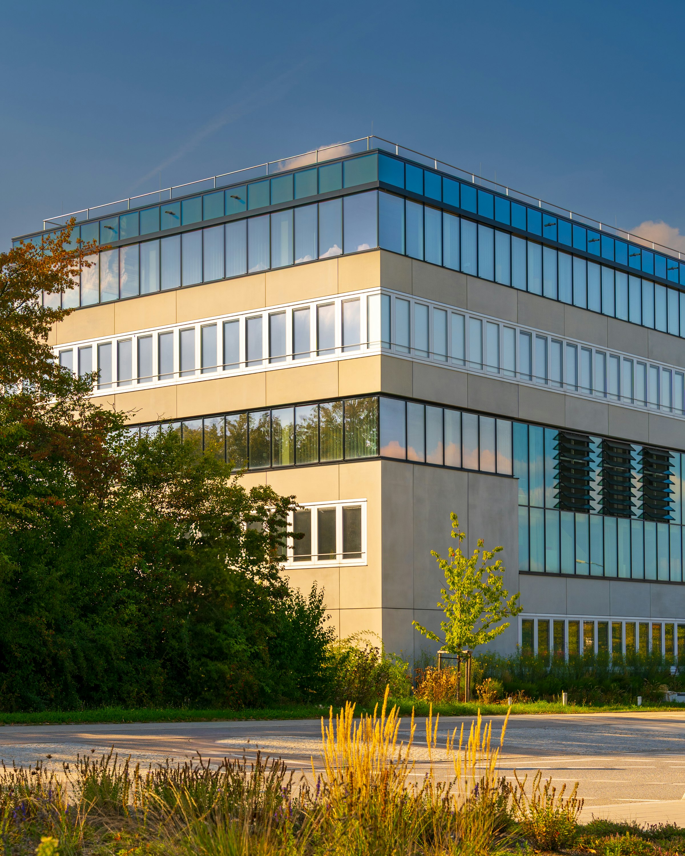 Büro mit Sonnenschutzfolie