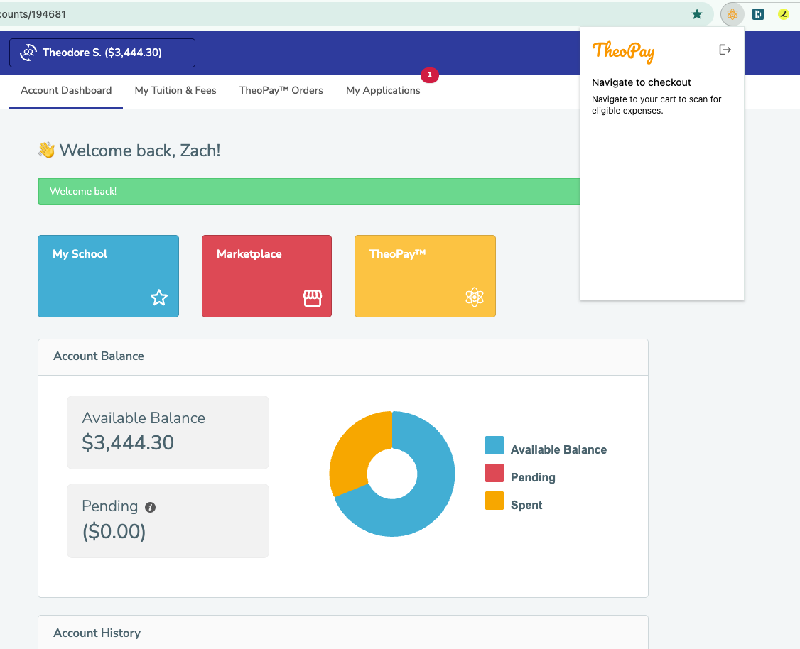 TheoPay account dashboard screenshot