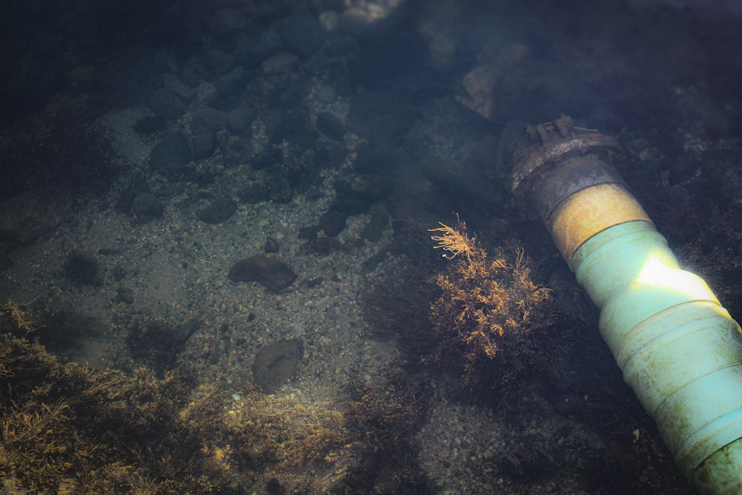 A cross-section of a clogged pipe showing heavy buildup - how to prevent drain clogs before they happen